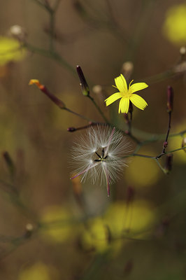 BUITEN BEELD Foto: 134020