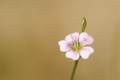 BUITEN BEELD Foto: 134022