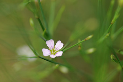 BUITEN BEELD Foto: 134024