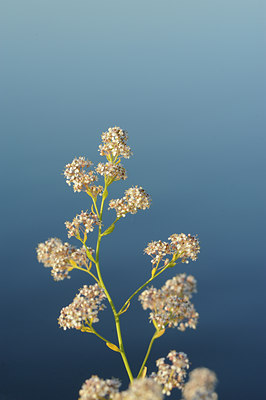 BUITEN BEELD Foto: 134029