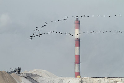 BUITEN BEELD Foto: 134037