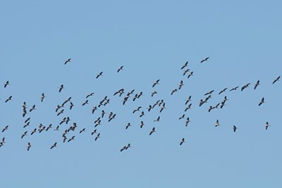 BUITEN BEELD Foto: 134057