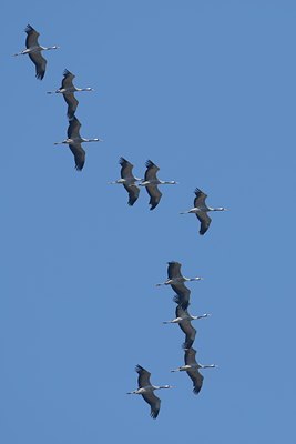 BUITEN BEELD Foto: 134065