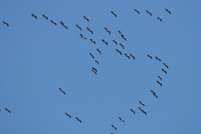 BUITEN BEELD Foto: 134066