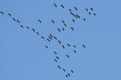 BUITEN BEELD Foto: 134067