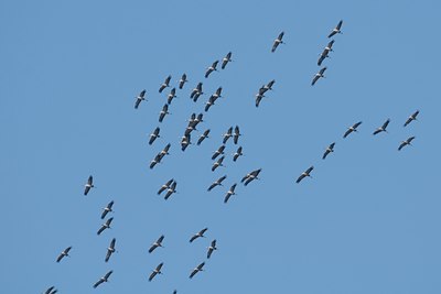 BUITEN BEELD Foto: 134068