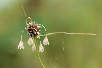 BUITEN BEELD Foto: 134080