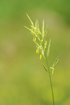 BUITEN BEELD Foto: 134086