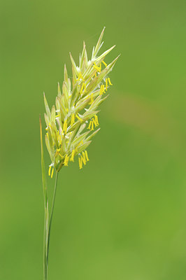 BUITEN BEELD Foto: 134087