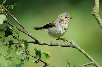 BUITEN BEELD Foto: 134206