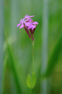 BUITEN BEELD Foto: 134253