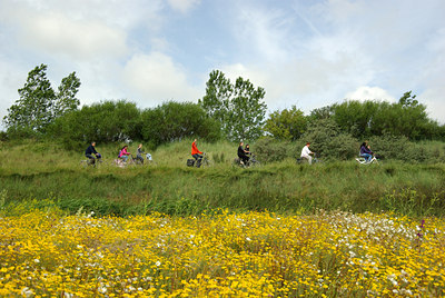 BUITEN BEELD Foto: 134285