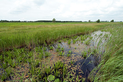 BUITEN BEELD Foto: 134334