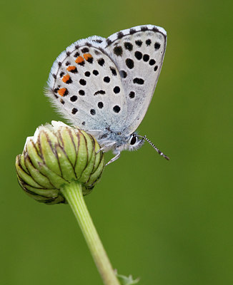 BUITEN BEELD Foto: 134341