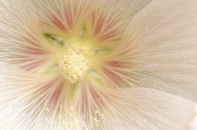 BUITEN BEELD Foto: 134378