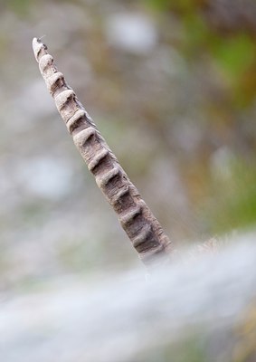 BUITEN BEELD Foto: 134431