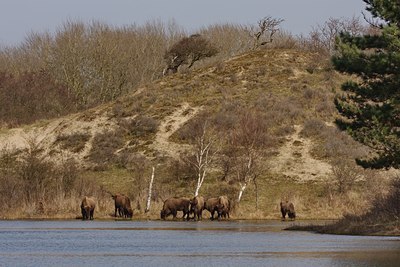 BUITEN BEELD Foto: 134437