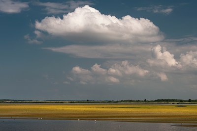 BUITEN BEELD Foto: 134469