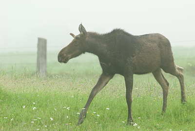 BUITEN BEELD Foto: 134570