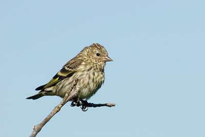 BUITEN BEELD Foto: 134572
