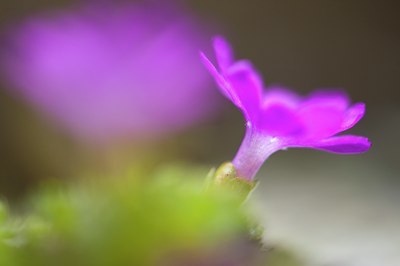 BUITEN BEELD Foto: 134642