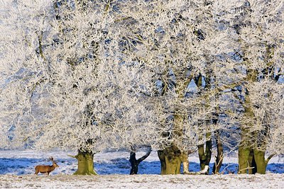 BUITEN BEELD Foto: 134698
