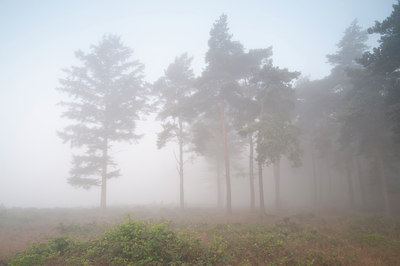 BUITEN BEELD Foto: 134716