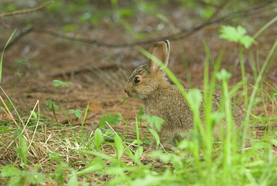 BUITEN BEELD Foto: 134730