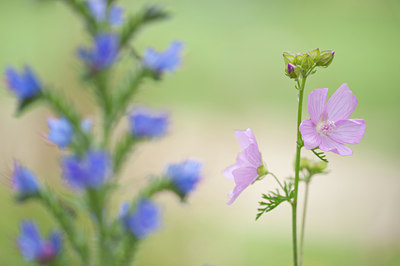 BUITEN BEELD Foto: 134754