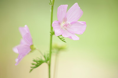 BUITEN BEELD Foto: 134755