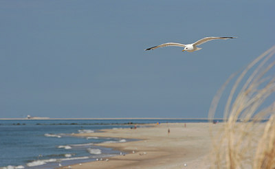 BUITEN BEELD Foto: 134771