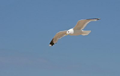 BUITEN BEELD Foto: 134772