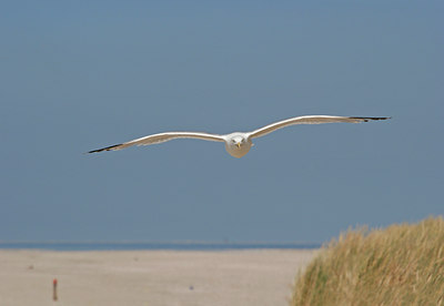 BUITEN BEELD Foto: 134873