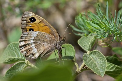 BUITEN BEELD Foto: 134894