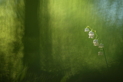 BUITEN BEELD Foto: 134914