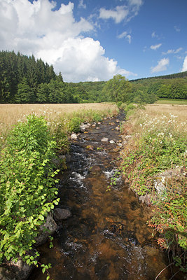 BUITEN BEELD Foto: 134955