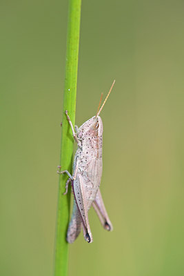 BUITEN BEELD Foto: 134956