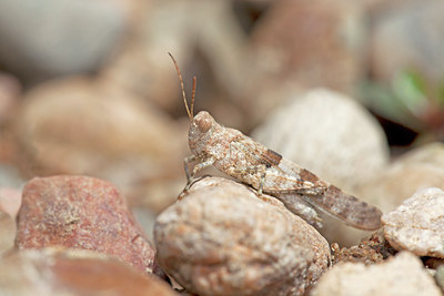 BUITEN BEELD Foto: 134978