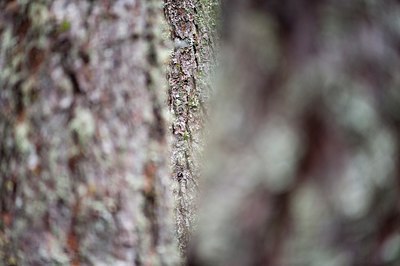 BUITEN BEELD Foto: 135057