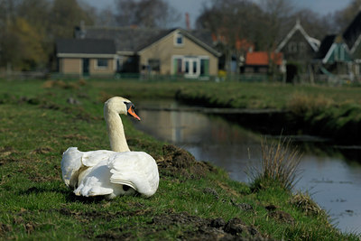 BUITEN BEELD Foto: 135171
