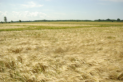 BUITEN BEELD Foto: 135207