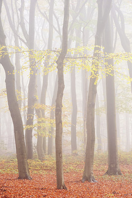 BUITEN BEELD Foto: 135222