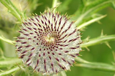 BUITEN BEELD Foto: 135227