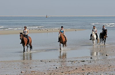 BUITEN BEELD Foto: 135272