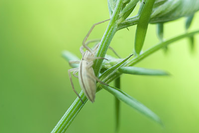 BUITEN BEELD Foto: 135300