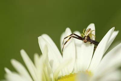 BUITEN BEELD Foto: 135301