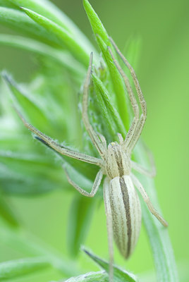 BUITEN BEELD Foto: 135304