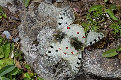 BUITEN BEELD Foto: 135310