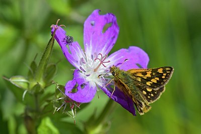 BUITEN BEELD Foto: 135311