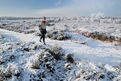 BUITEN BEELD Foto: 135314